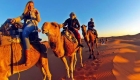 desert-camel-trekking