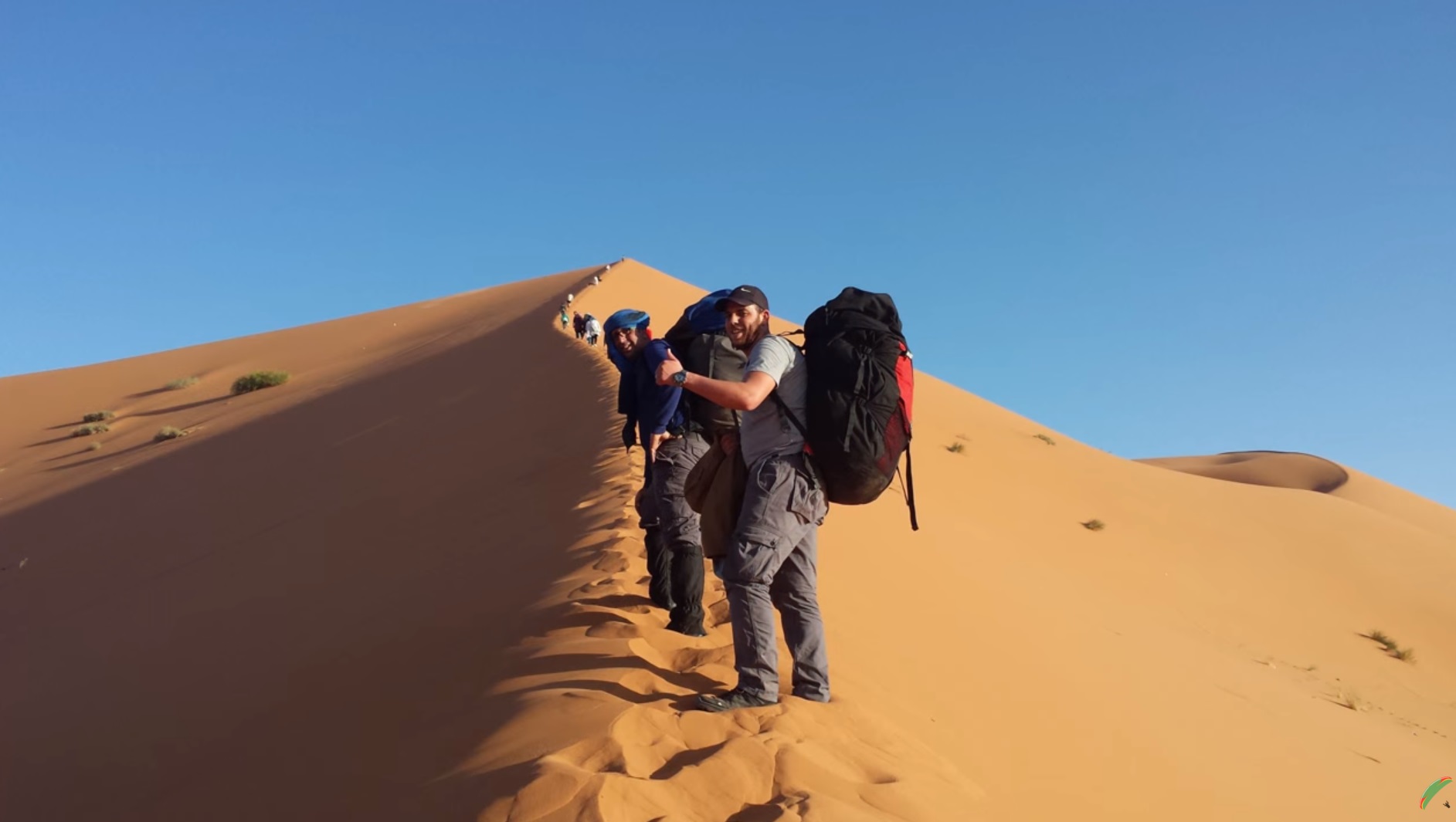 Solo Travel vs Local Travel Agency in Morocco: Which is Better?