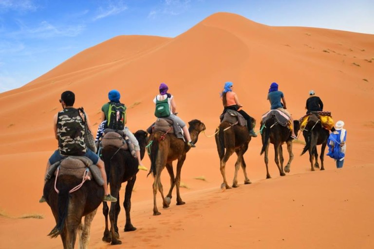 camel trekking - Holiday Morocco Tours