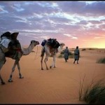 6 Days Fez Marrakech desert tour