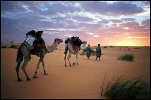 6 Days Fez Marrakech desert tour