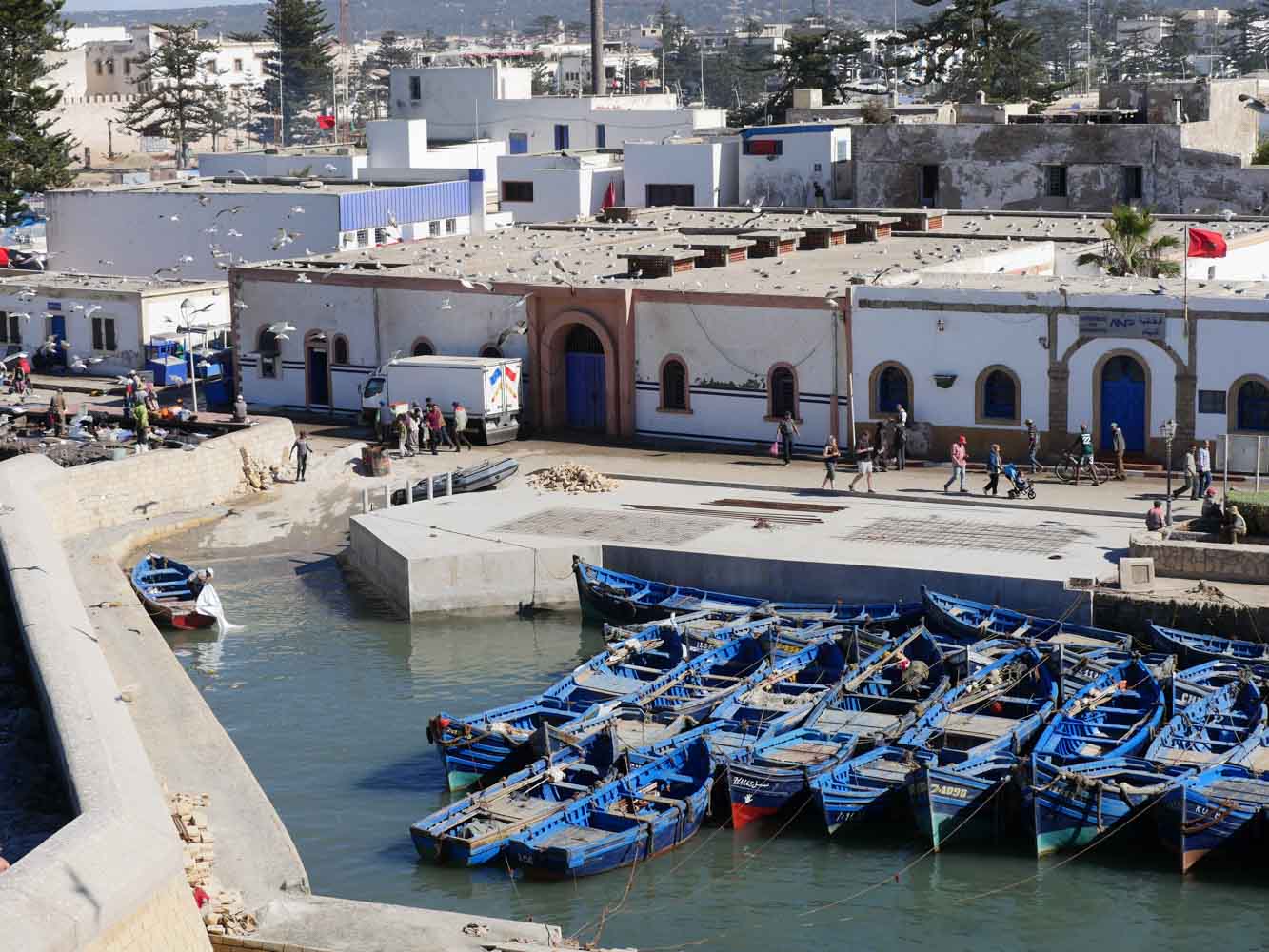 7 Days tour from Fez to Marrakech via Merzouga and Essaouira