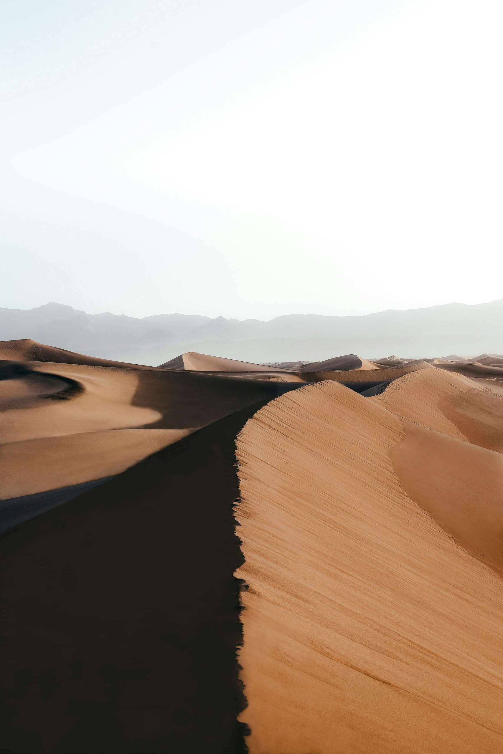 Morocco in Autumn or Early Spring