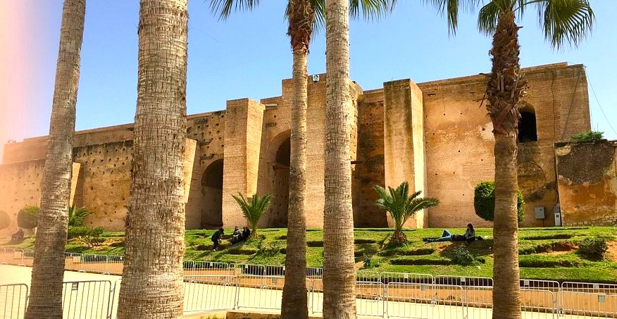 Moroccan olive oil and argan oil