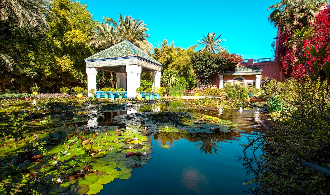 Moroccan olive oil and argan oil