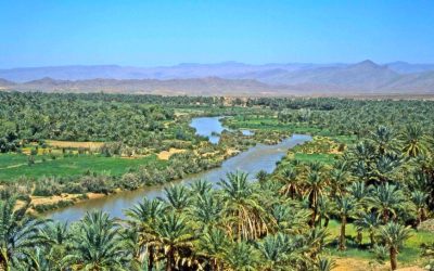 Explore Morocco Desert Valleys: Zagora, Draa Valley & Hidden Oases