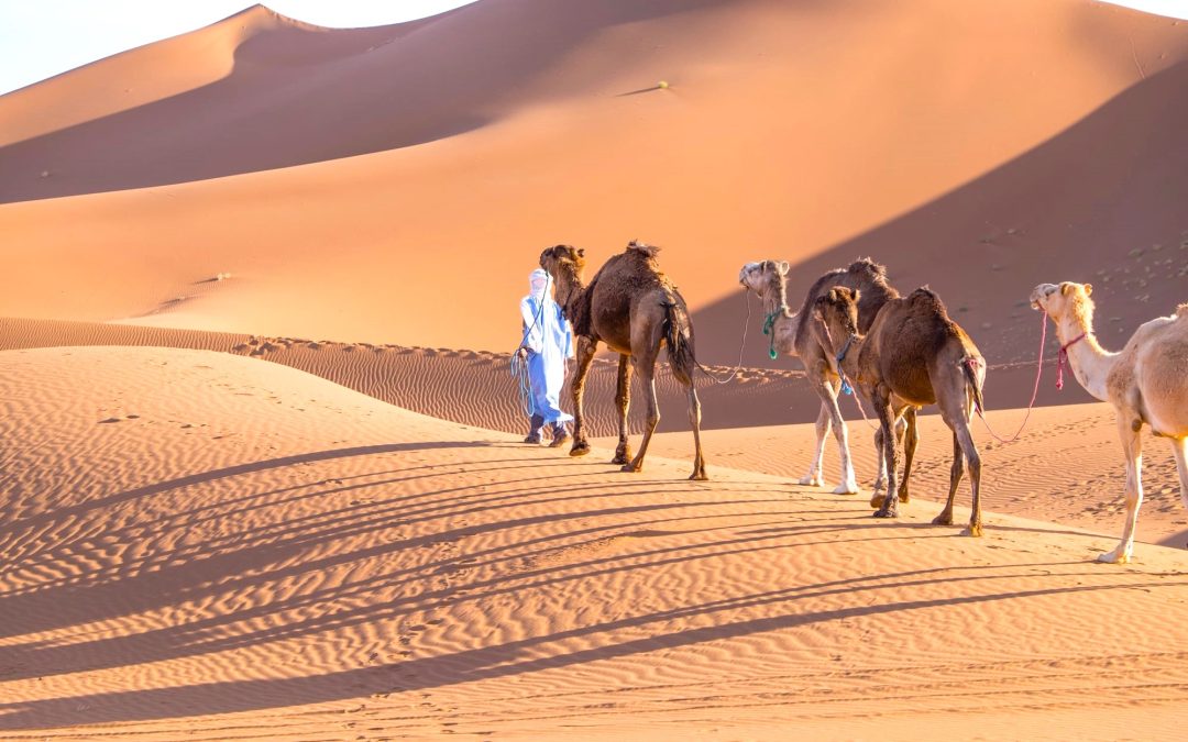 Desert Experiences Beyond Merzouga: A Complete Guide for Travelers