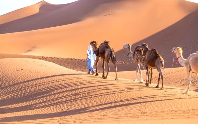 Desert Experiences Beyond Merzouga: A Complete Guide for Travelers