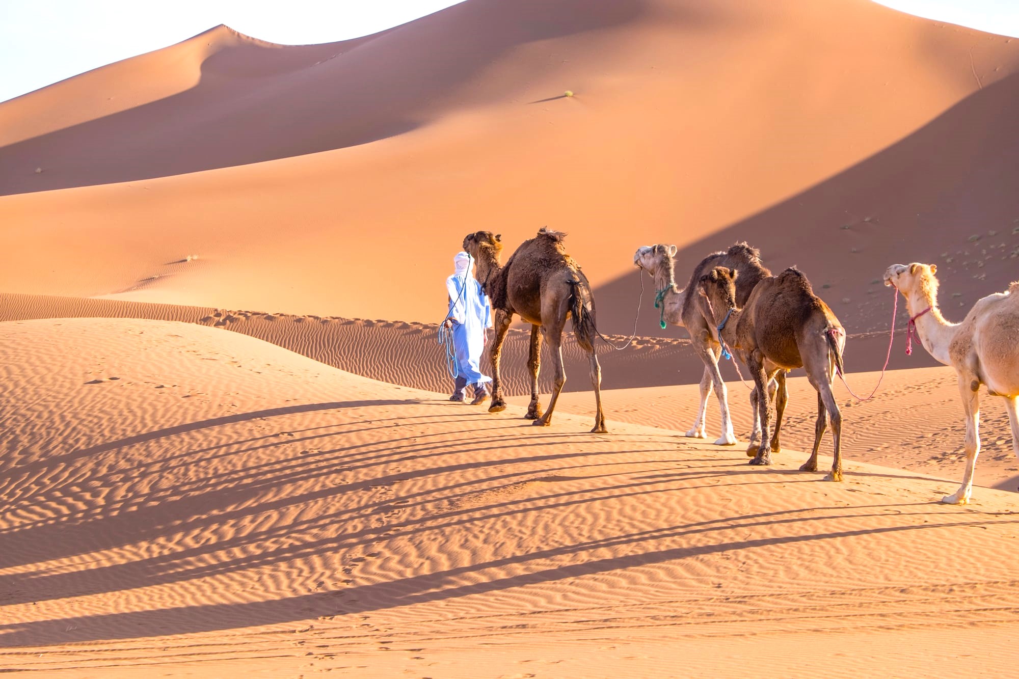 Desert Experiences Beyond Merzouga
