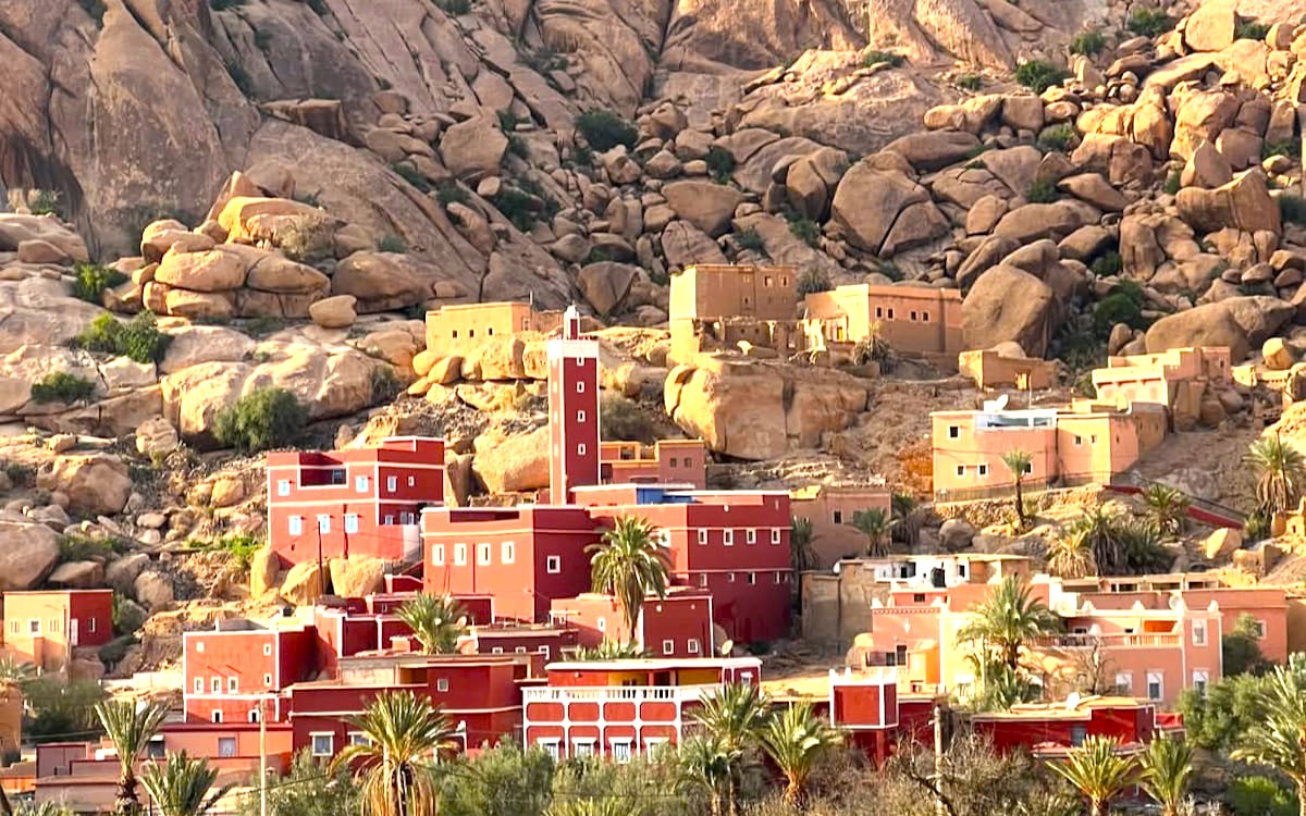 Moroccan olive oil and argan oil