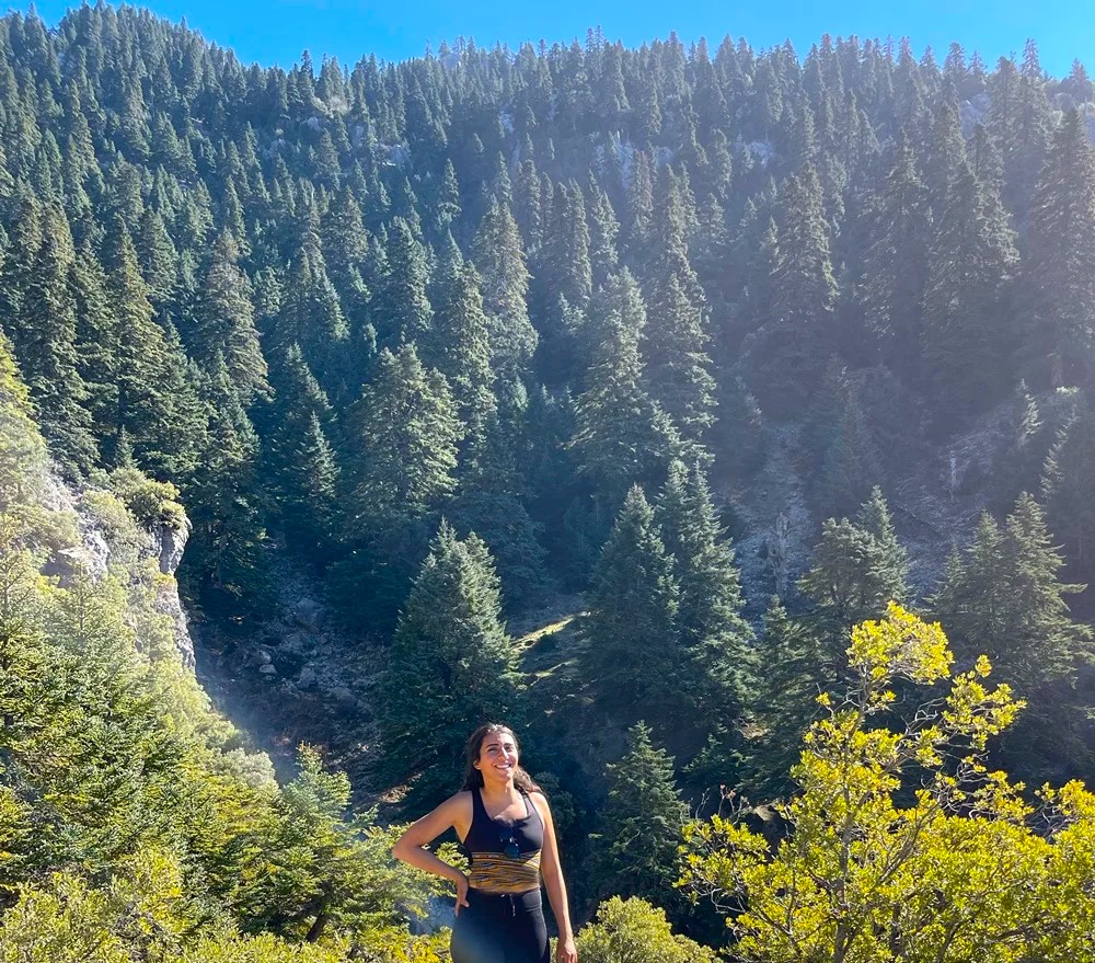 Moroccan olive oil and argan oil