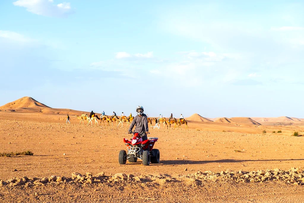 Moroccan olive oil and argan oil