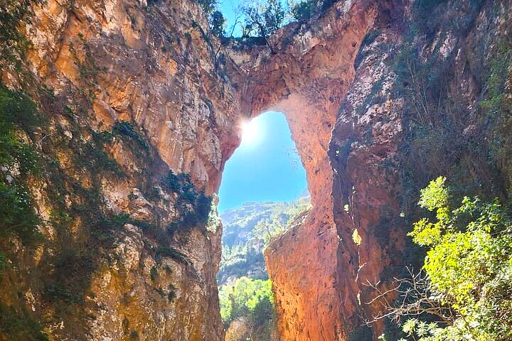 Moroccan olive oil and argan oil