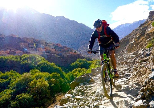 Moroccan olive oil and argan oil