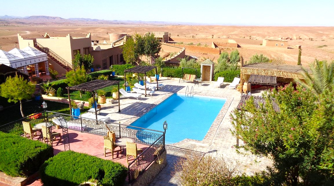 Moroccan olive oil and argan oil