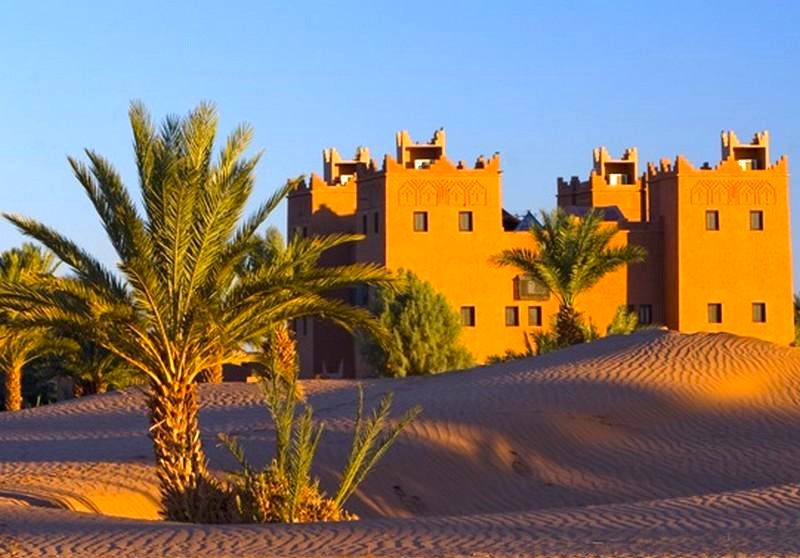 Moroccan olive oil and argan oil