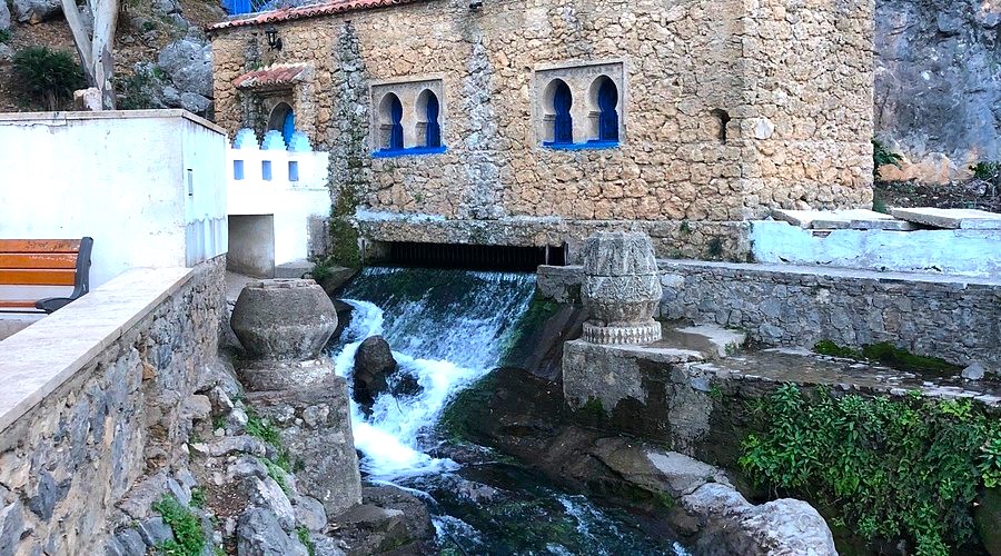 Moroccan olive oil and argan oil