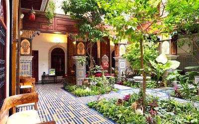 Hidden Riads in Fes: Authentic Stays in the Heart of the Medina