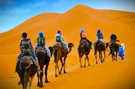 Camel trekking experience during Desert tours Morocco in winter in the Sahara