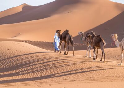 5 Days Desert Tour from Marrakesh to Erg Chigaga